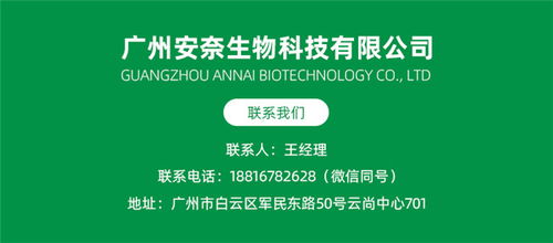 专业精油加工厂安奈生物 广州精油加工与在线信息咨询服务