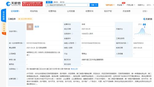 信息咨询服务 数字化时代的智慧导航